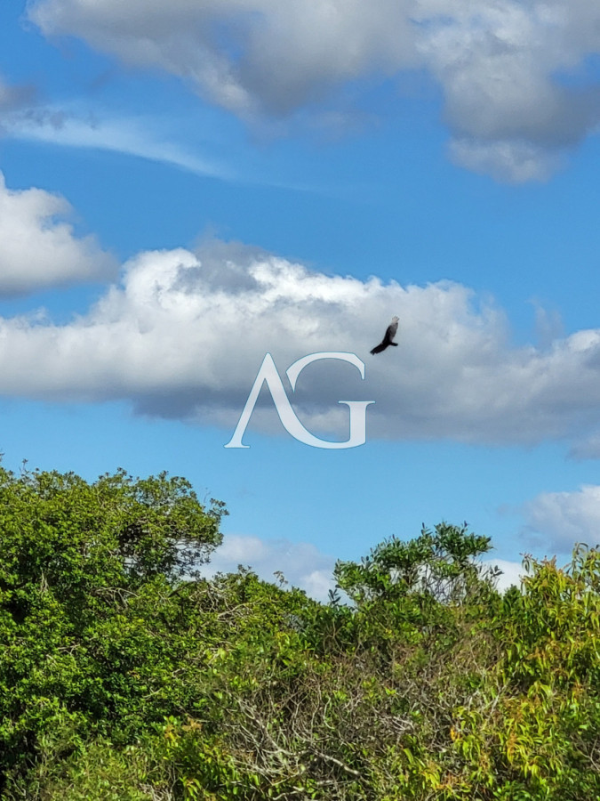 Chacra ID.475 - Chacras de la Capilla - Pueblo Edén. Punta del Este, Uruguay