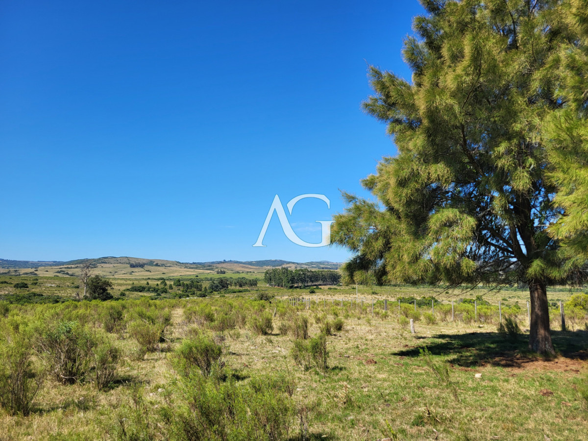 Chacra ID.475 - Chacras de la Capilla - Pueblo Edén. Punta del Este, Uruguay