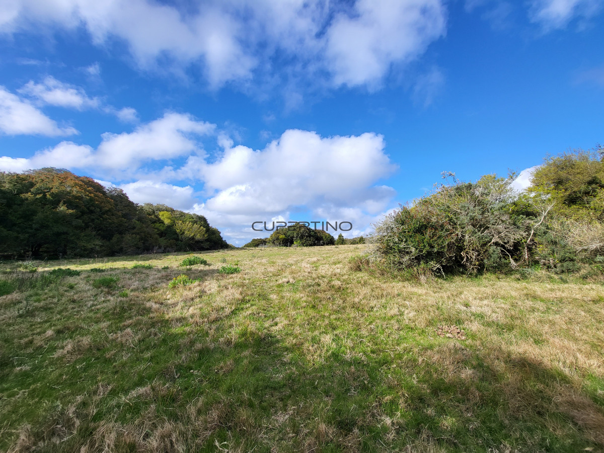 CHACRA SOBRE LAGUNA ANASTASIO JOSE IGNACIO PUNTA DEL ESTE — foto 10