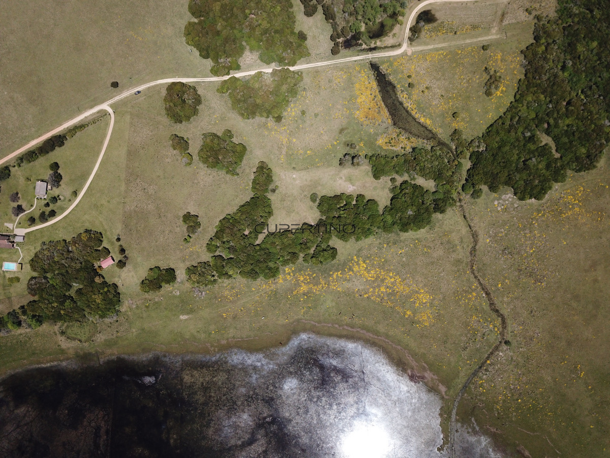 CHACRA SOBRE LAGUNA ANASTASIO JOSE IGNACIO PUNTA DEL ESTE — foto 18