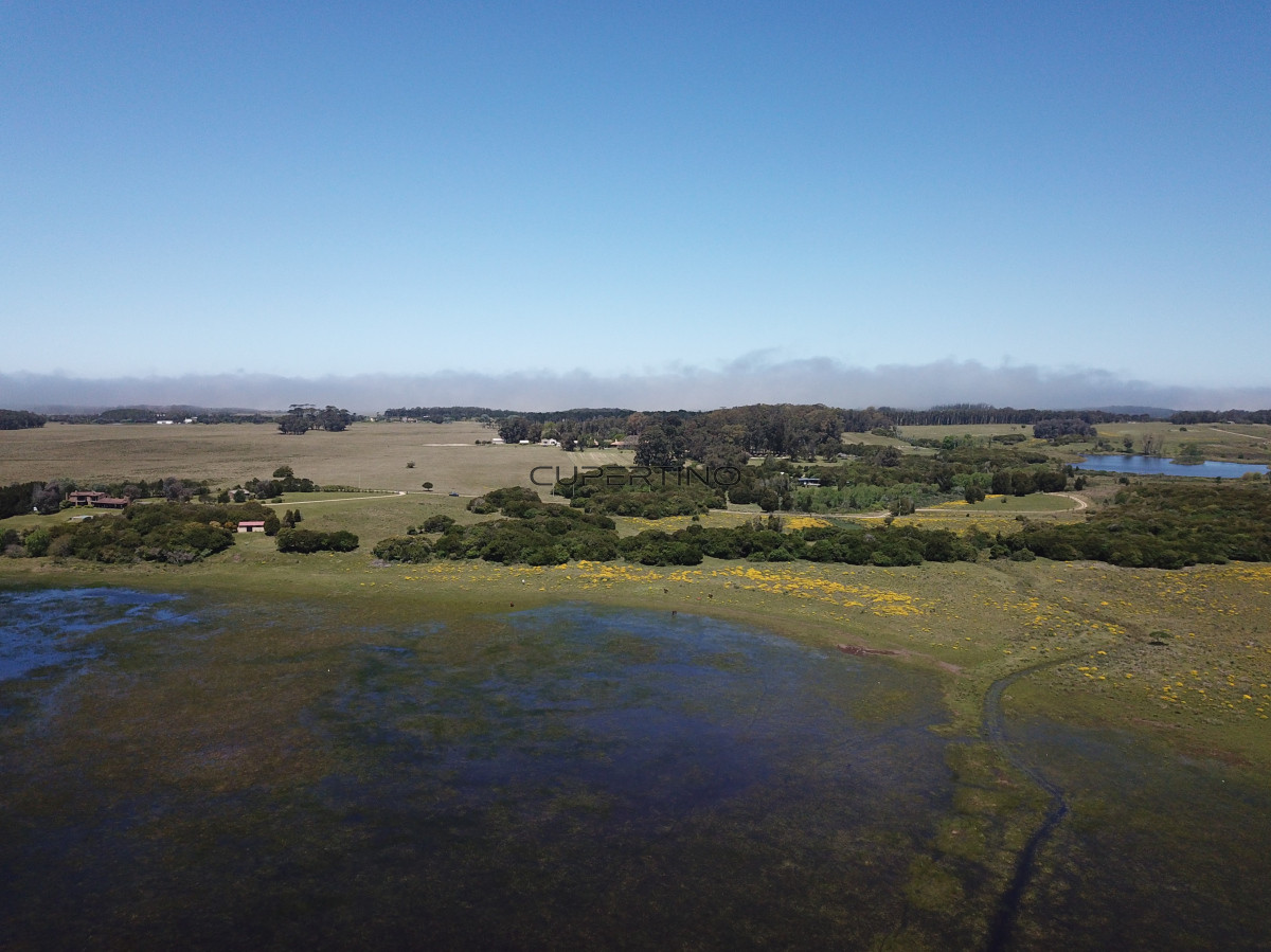 CHACRA SOBRE LAGUNA ANASTASIO JOSE IGNACIO PUNTA DEL ESTE — foto 21