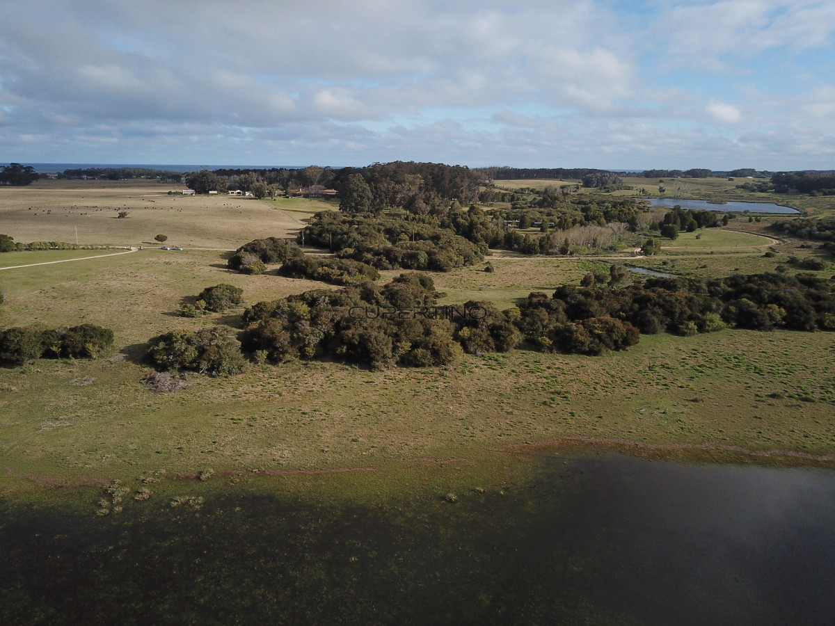 CHACRA SOBRE LAGUNA ANASTASIO JOSE IGNACIO PUNTA DEL ESTE — foto 14