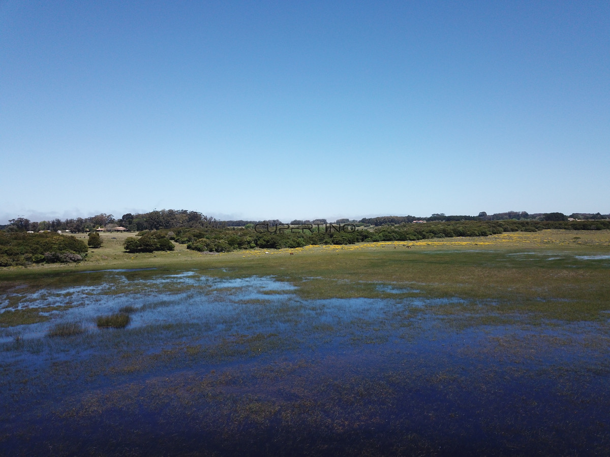 CHACRA SOBRE LAGUNA ANASTASIO JOSE IGNACIO PUNTA DEL ESTE — foto 17