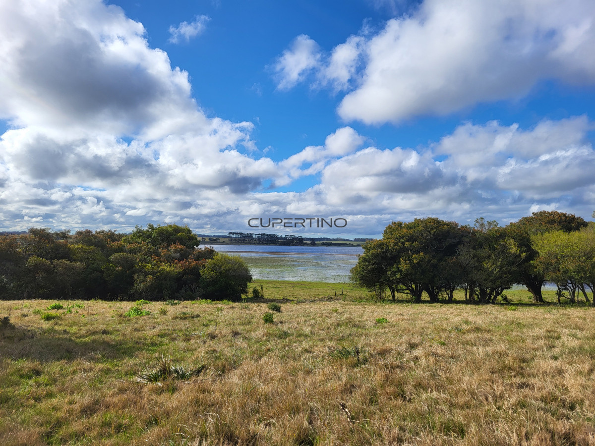 CHACRA SOBRE LAGUNA ANASTASIO JOSE IGNACIO PUNTA DEL ESTE — foto 13