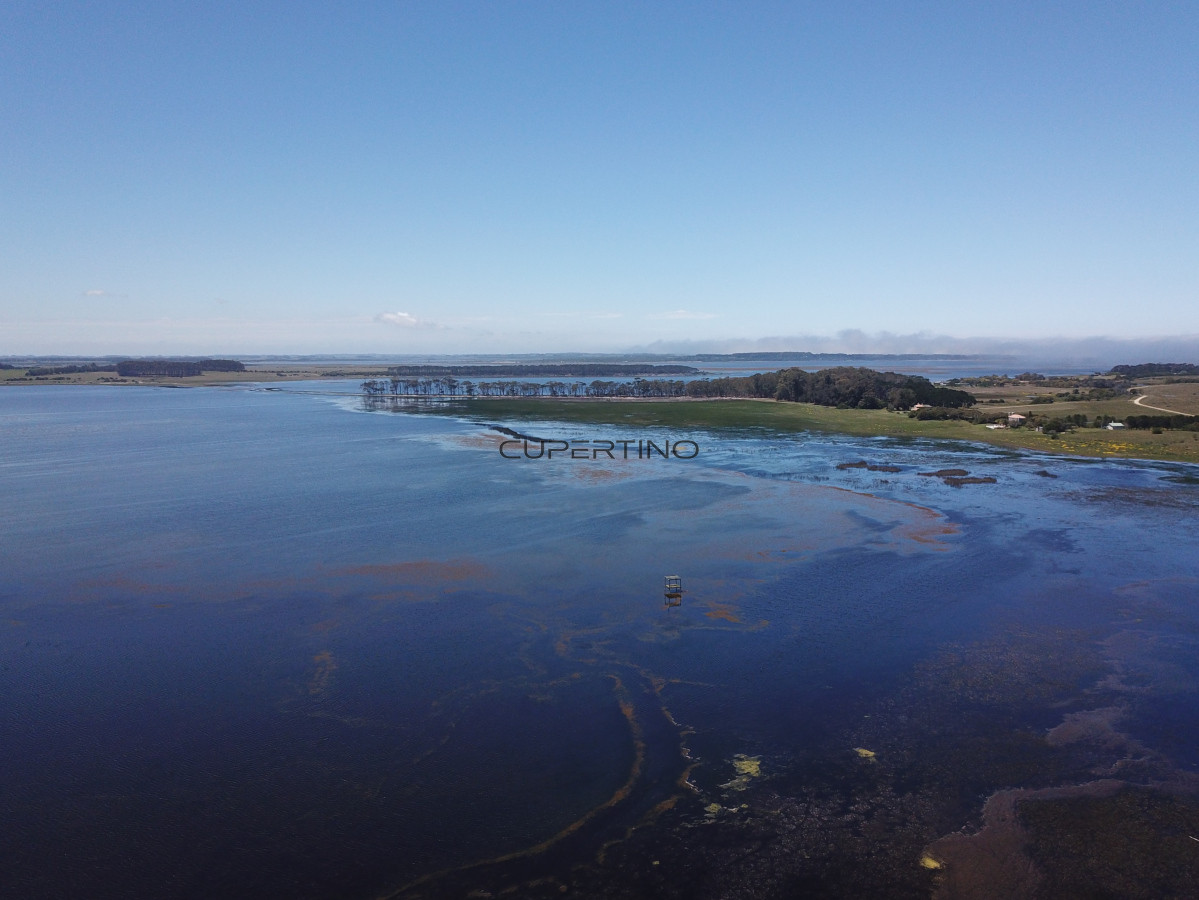 CHACRA SOBRE LAGUNA ANASTASIO JOSE IGNACIO PUNTA DEL ESTE — foto 1