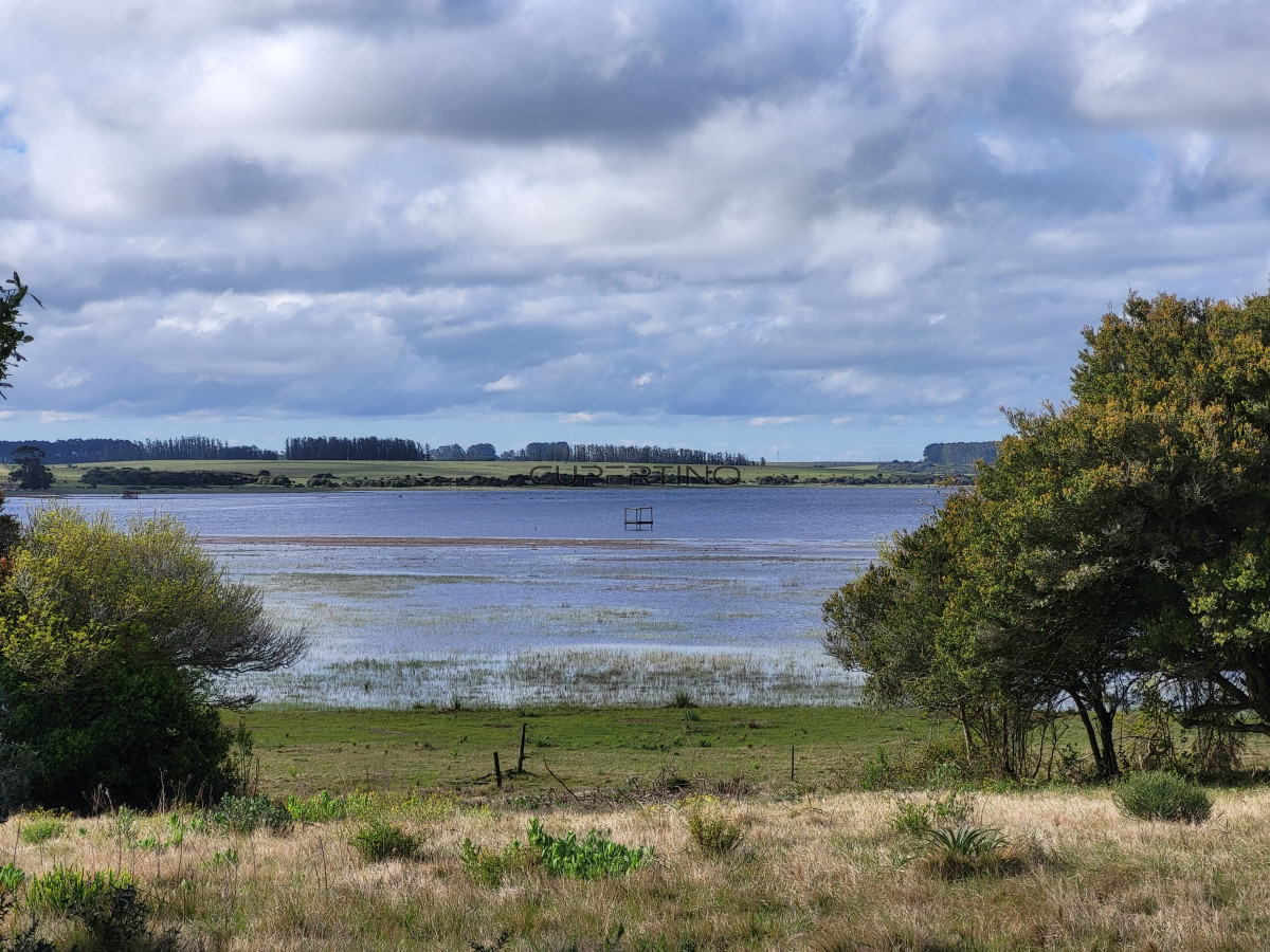 CHACRA SOBRE LAGUNA ANASTASIO JOSE IGNACIO PUNTA DEL ESTE — foto 2