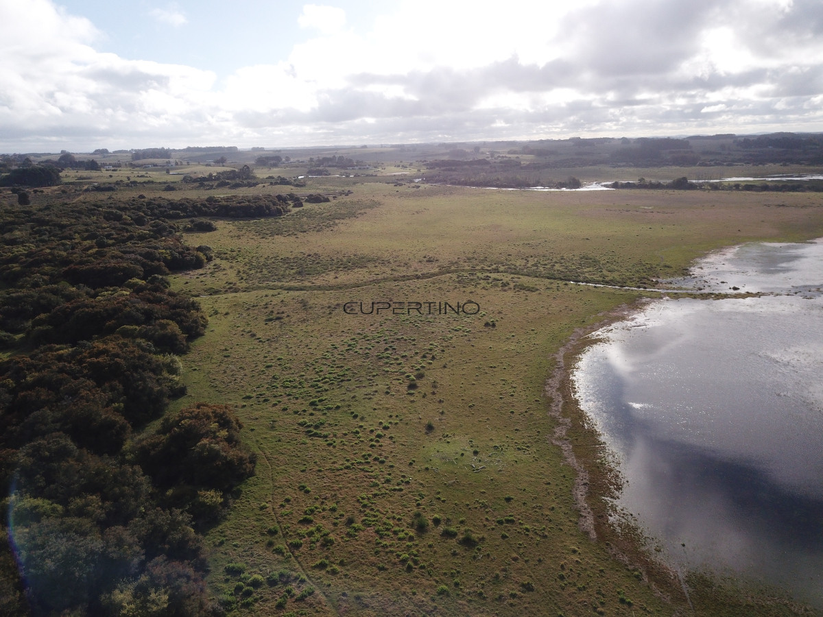 CHACRA SOBRE LAGUNA ANASTASIO JOSE IGNACIO PUNTA DEL ESTE — foto 6