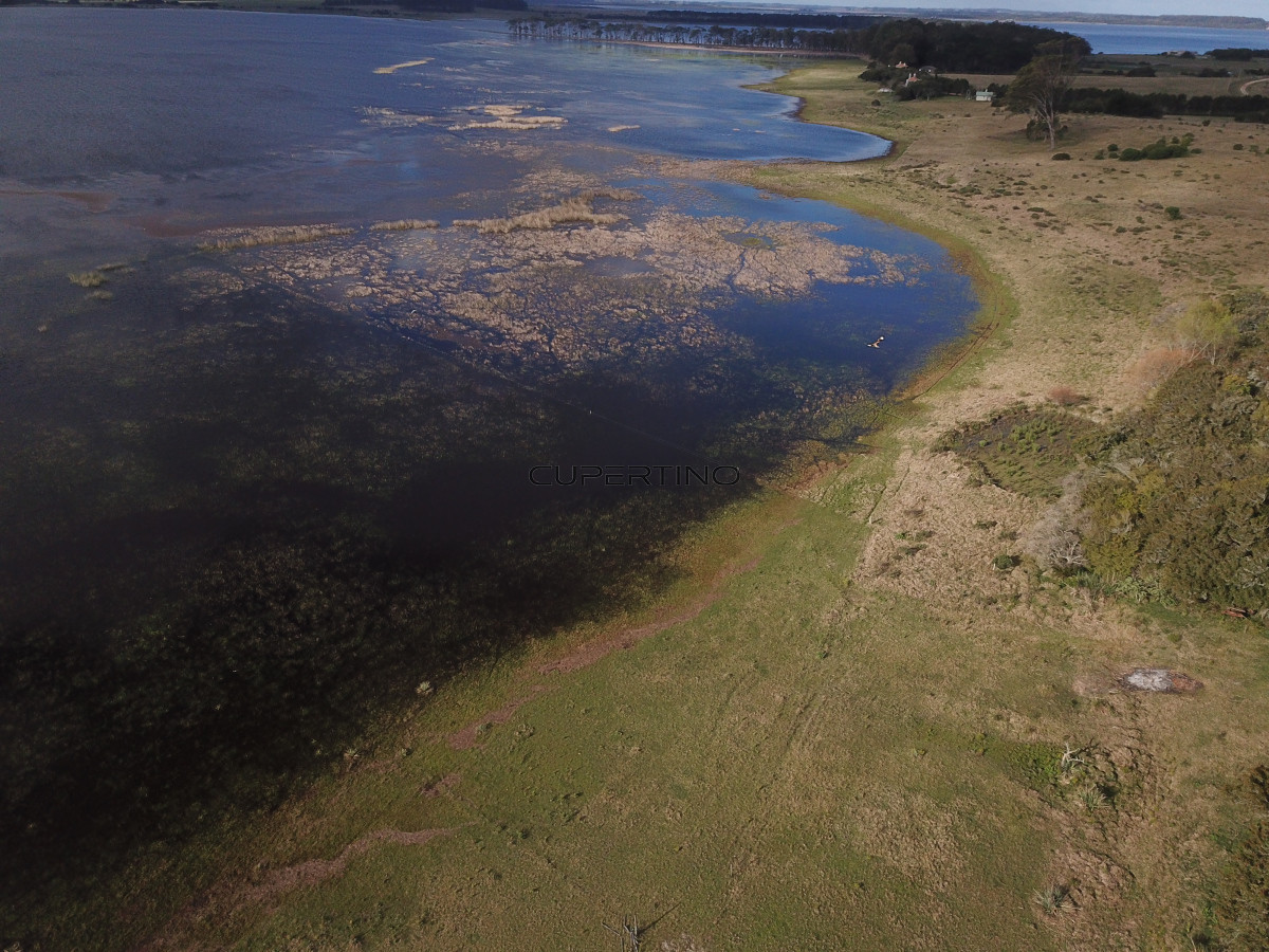 CHACRA SOBRE LAGUNA ANASTASIO JOSE IGNACIO PUNTA DEL ESTE — foto 16