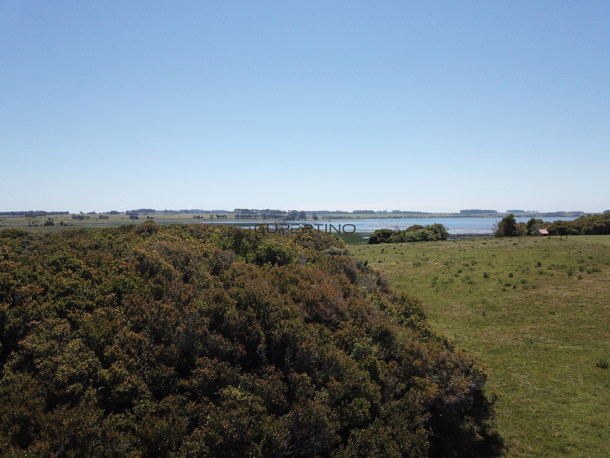 CHACRA SOBRE LAGUNA ANASTASIO JOSE IGNACIO PUNTA DEL ESTE — foto 19
