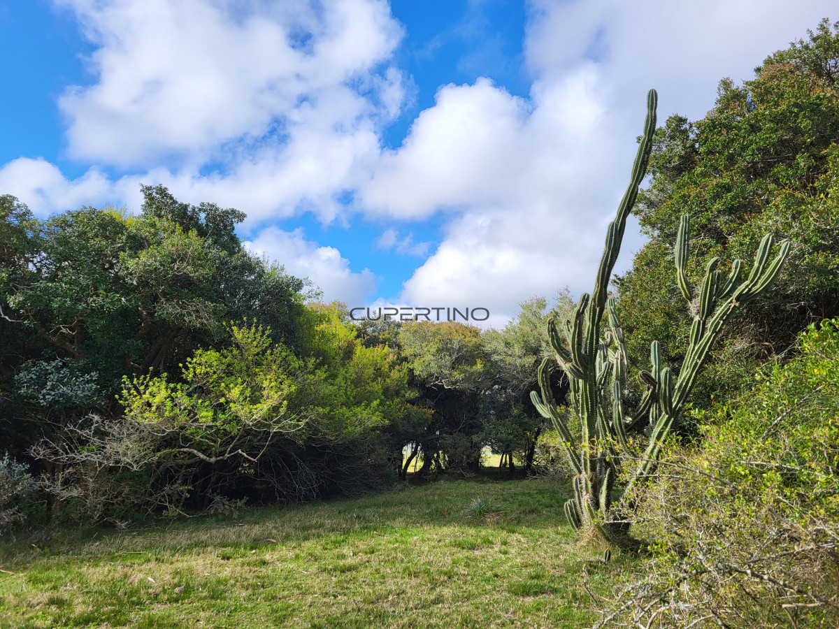 CHACRA SOBRE LAGUNA ANASTASIO JOSE IGNACIO PUNTA DEL ESTE — foto 7