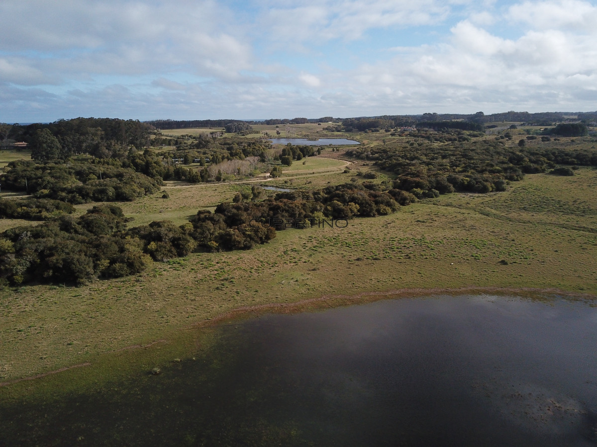 CHACRA SOBRE LAGUNA ANASTASIO JOSE IGNACIO PUNTA DEL ESTE — foto 15