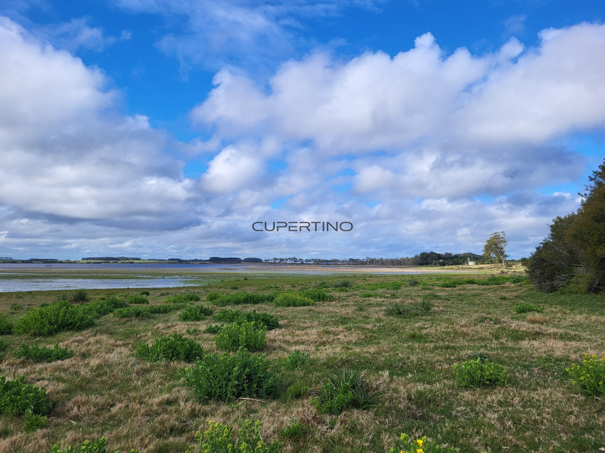 CHACRA SOBRE LAGUNA ANASTASIO JOSE IGNACIO PUNTA DEL ESTE — foto 8