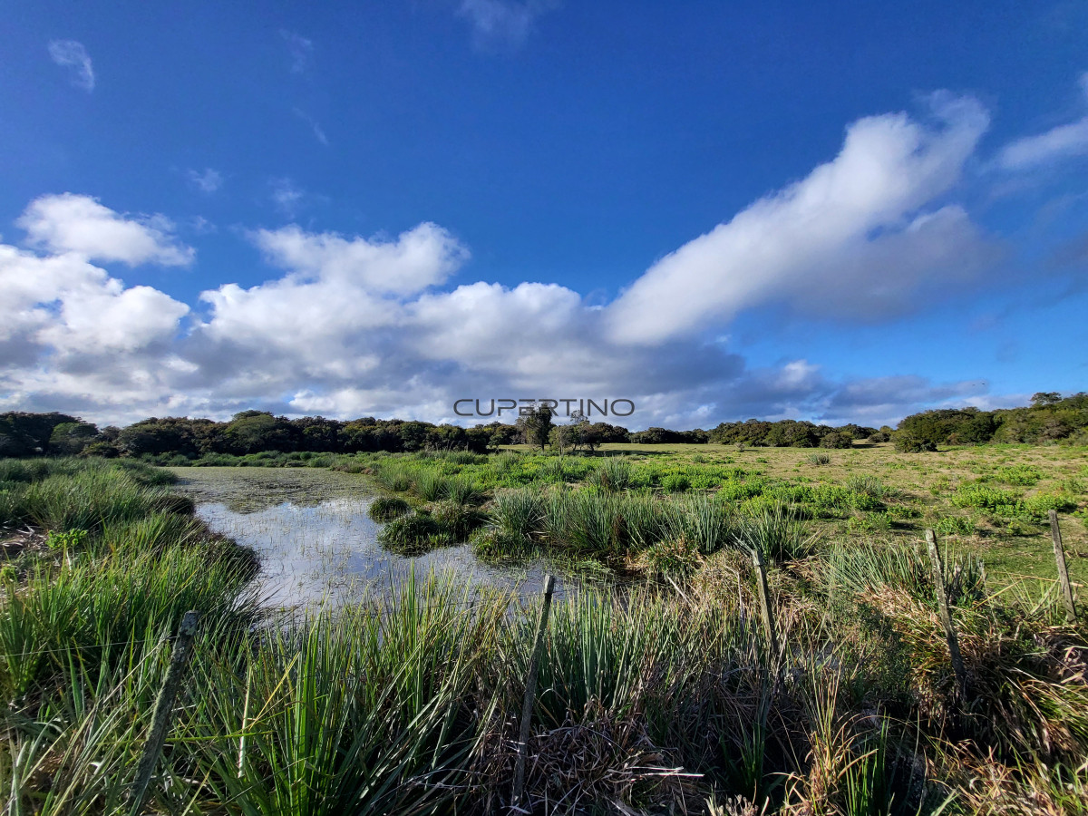 CHACRA SOBRE LAGUNA ANASTASIO JOSE IGNACIO PUNTA DEL ESTE — foto 9