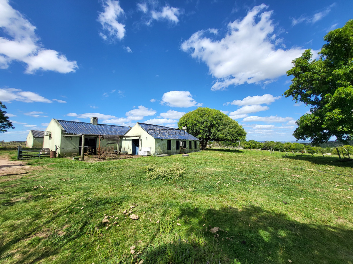 Campo Ref.350 - VENTA CAMPO 1.037 HECTAREAS SIERRAS DE LAVALLEJA