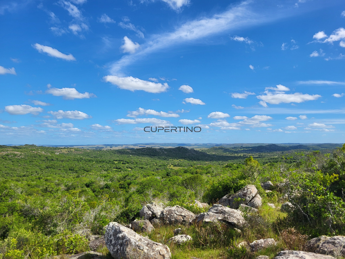 Campo Ref.350 - VENTA CAMPO 1.037 HECTAREAS SIERRAS DE LAVALLEJA