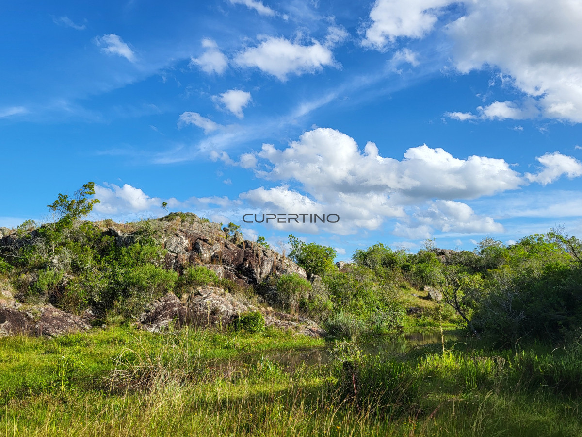 Campo Ref.350 - VENTA CAMPO 1.037 HECTAREAS SIERRAS DE LAVALLEJA