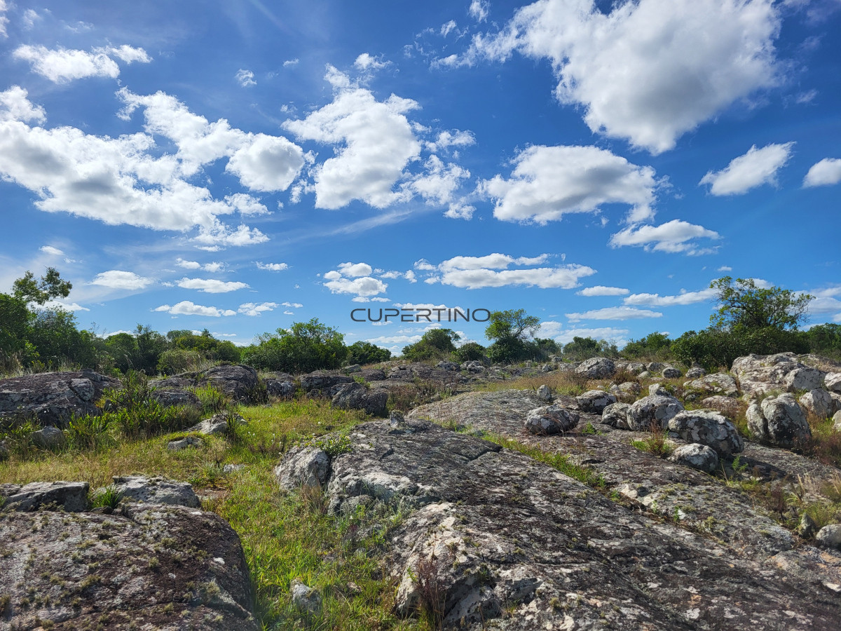 Campo Ref.350 - VENTA CAMPO 1.037 HECTAREAS SIERRAS DE LAVALLEJA