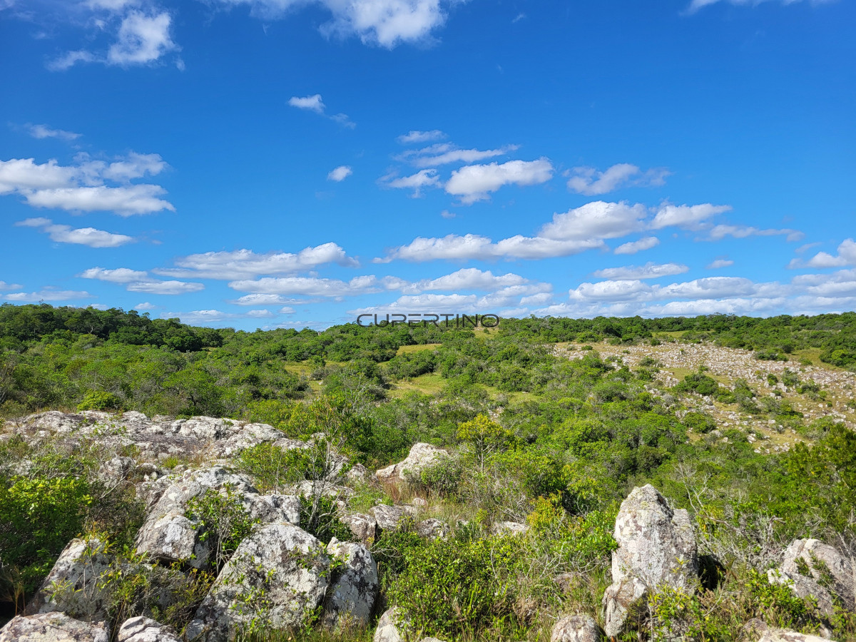 Campo Ref.350 - VENTA CAMPO 1.037 HECTAREAS SIERRAS DE LAVALLEJA