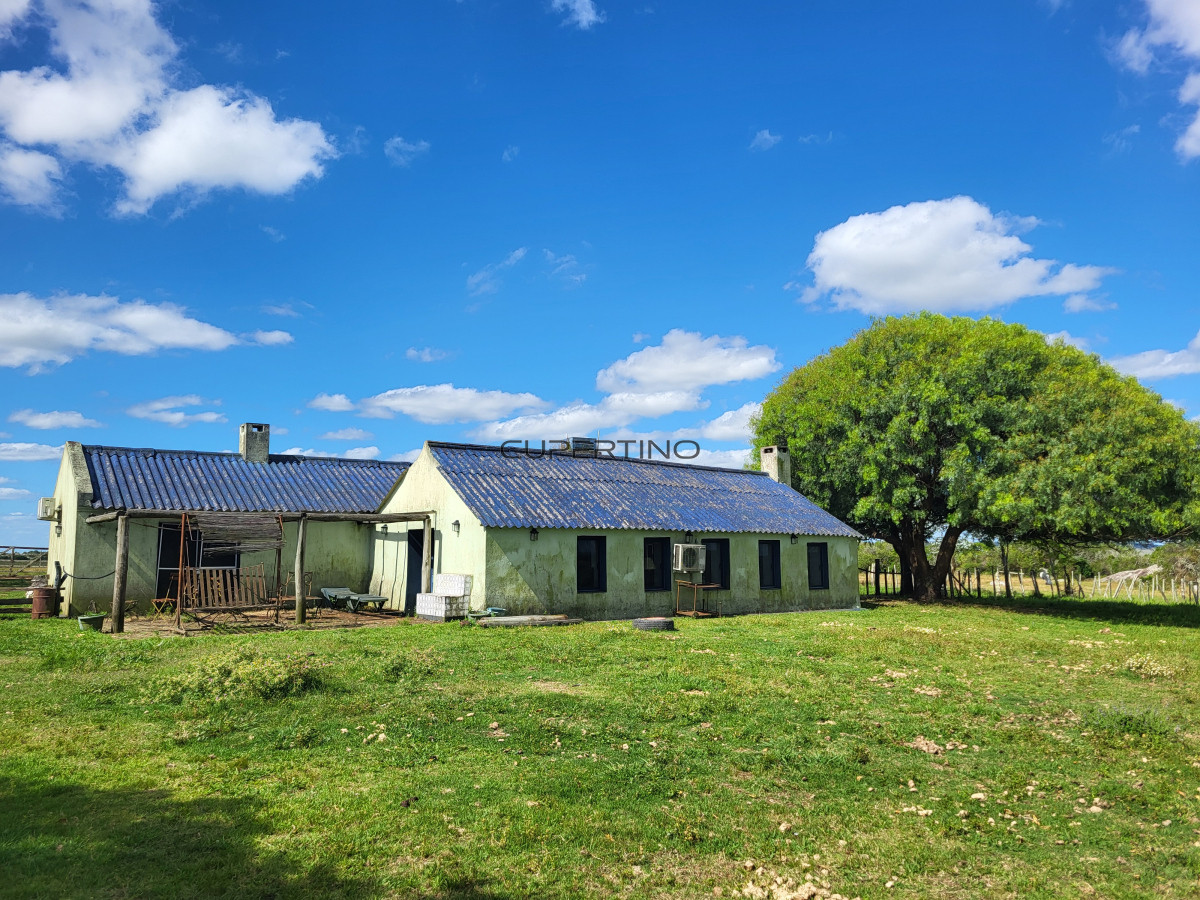 Campo Ref.350 - VENTA CAMPO 1.037 HECTAREAS SIERRAS DE LAVALLEJA