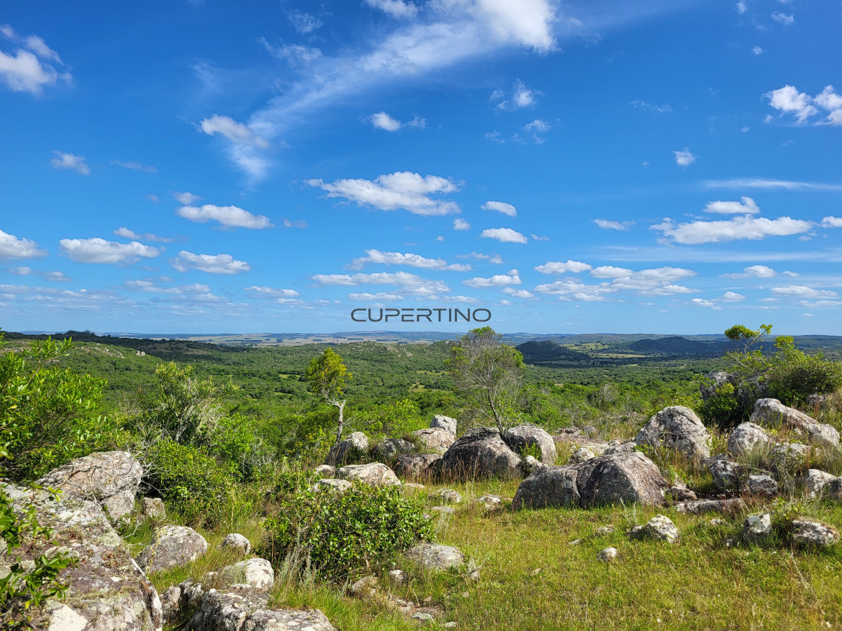 Campo Ref.350 - VENTA CAMPO 1.037 HECTAREAS SIERRAS DE LAVALLEJA