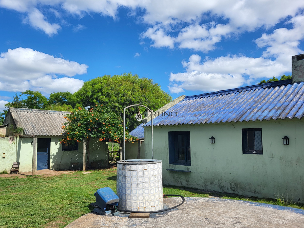 Campo Ref.350 - VENTA CAMPO 1.037 HECTAREAS SIERRAS DE LAVALLEJA