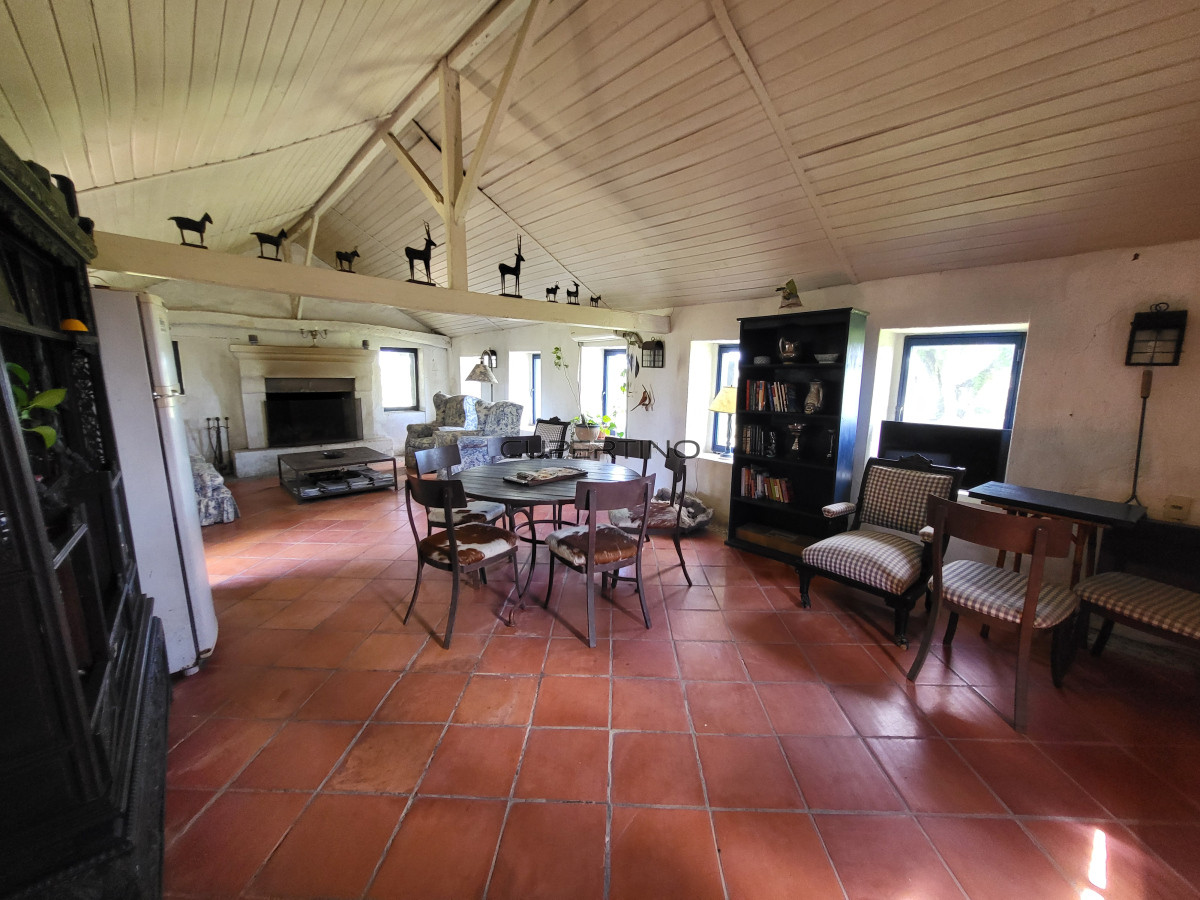 Campo Ref.350 - VENTA CAMPO 1.037 HECTAREAS SIERRAS DE LAVALLEJA
