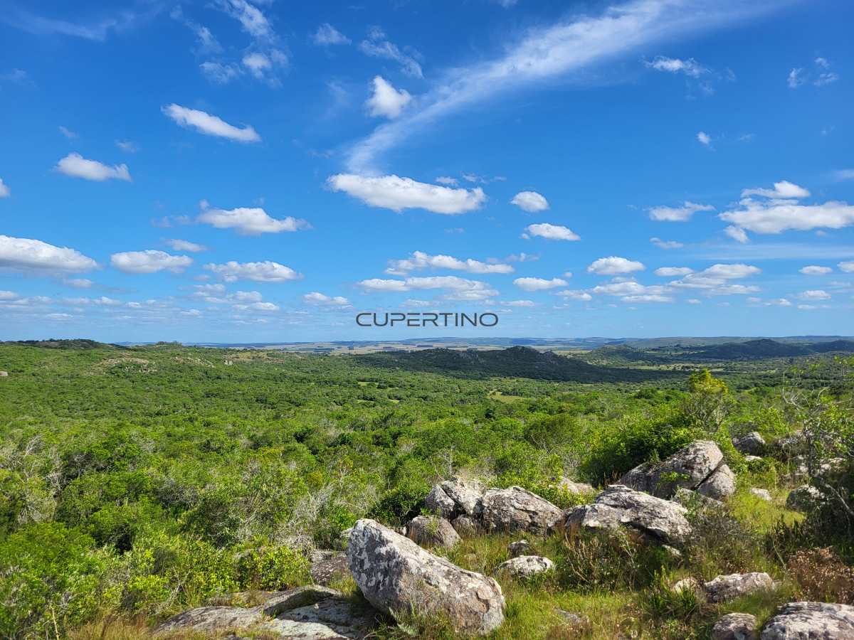 Campo Ref.350 - VENTA CAMPO 1.037 HECTAREAS SIERRAS DE LAVALLEJA