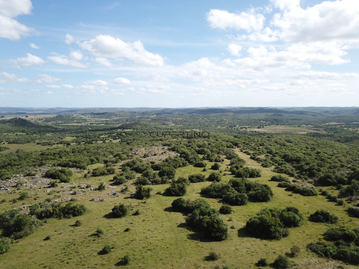 Campo Ref.350 - VENTA CAMPO 1.037 HECTAREAS SIERRAS DE LAVALLEJA