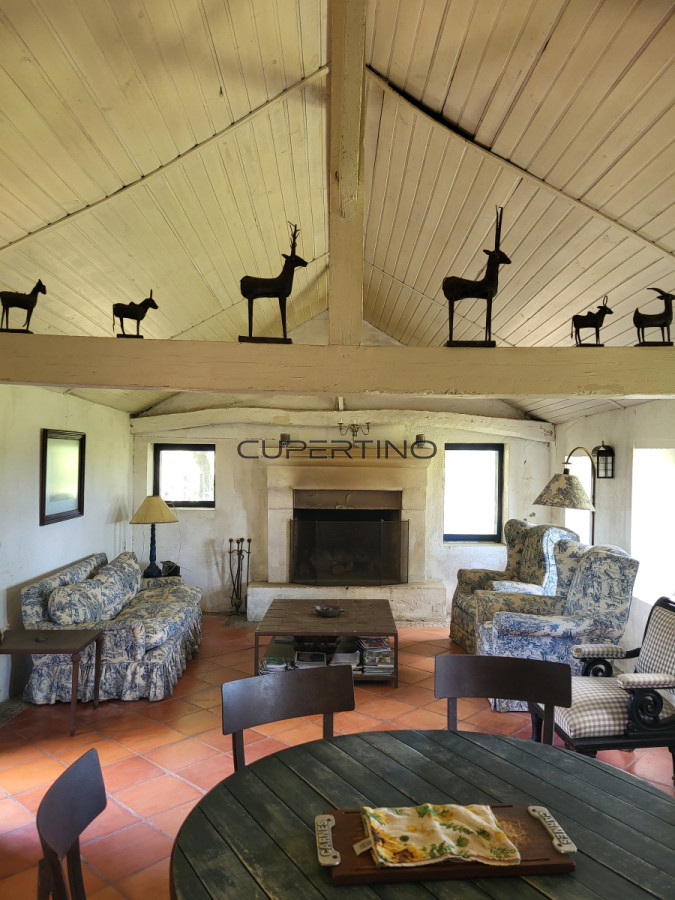 Campo Ref.350 - VENTA CAMPO 1.037 HECTAREAS SIERRAS DE LAVALLEJA
