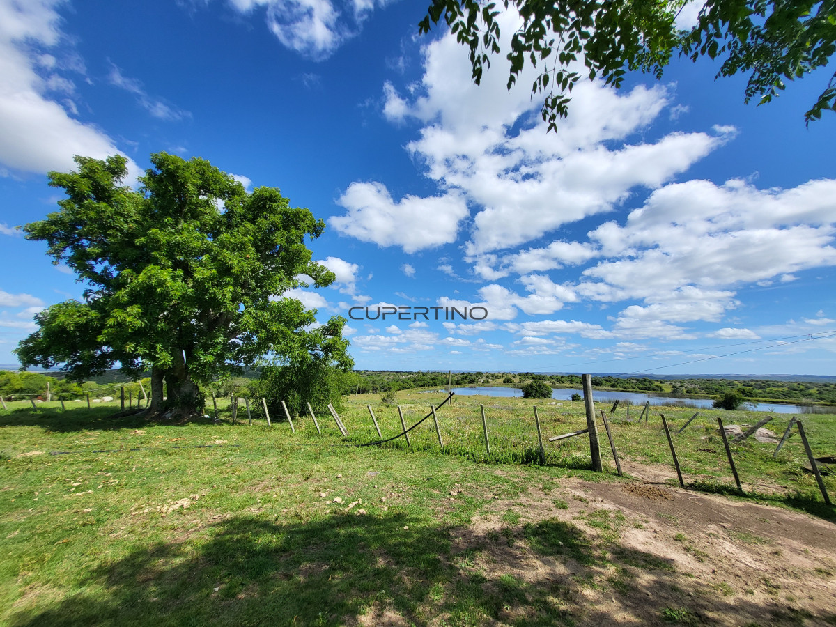 Campo Ref.350 - VENTA CAMPO 1.037 HECTAREAS SIERRAS DE LAVALLEJA