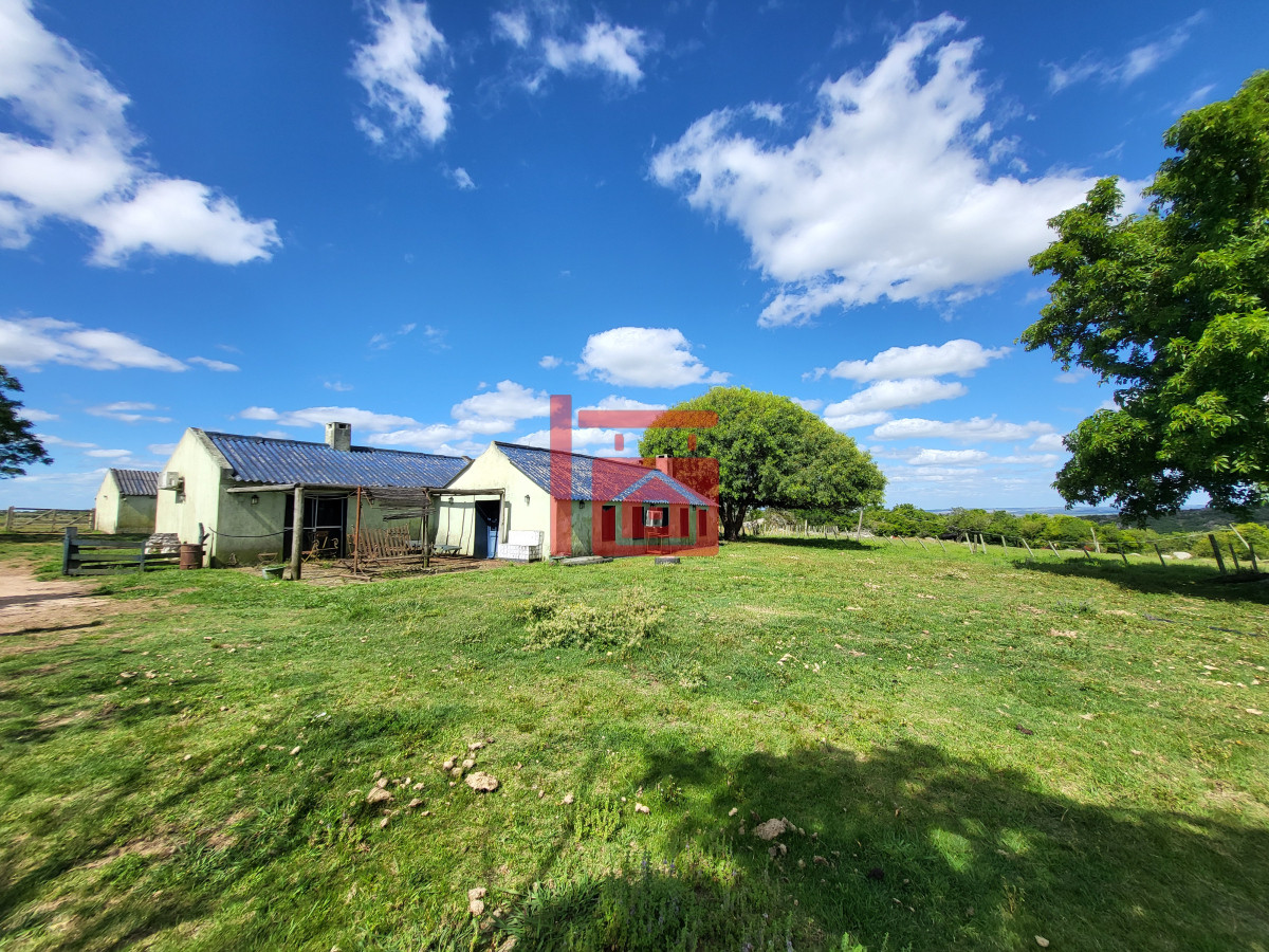 Campo Ref.542 - VENTA CAMPO 1.037 HECTAREAS SIERRAS DE LAVALLEJA