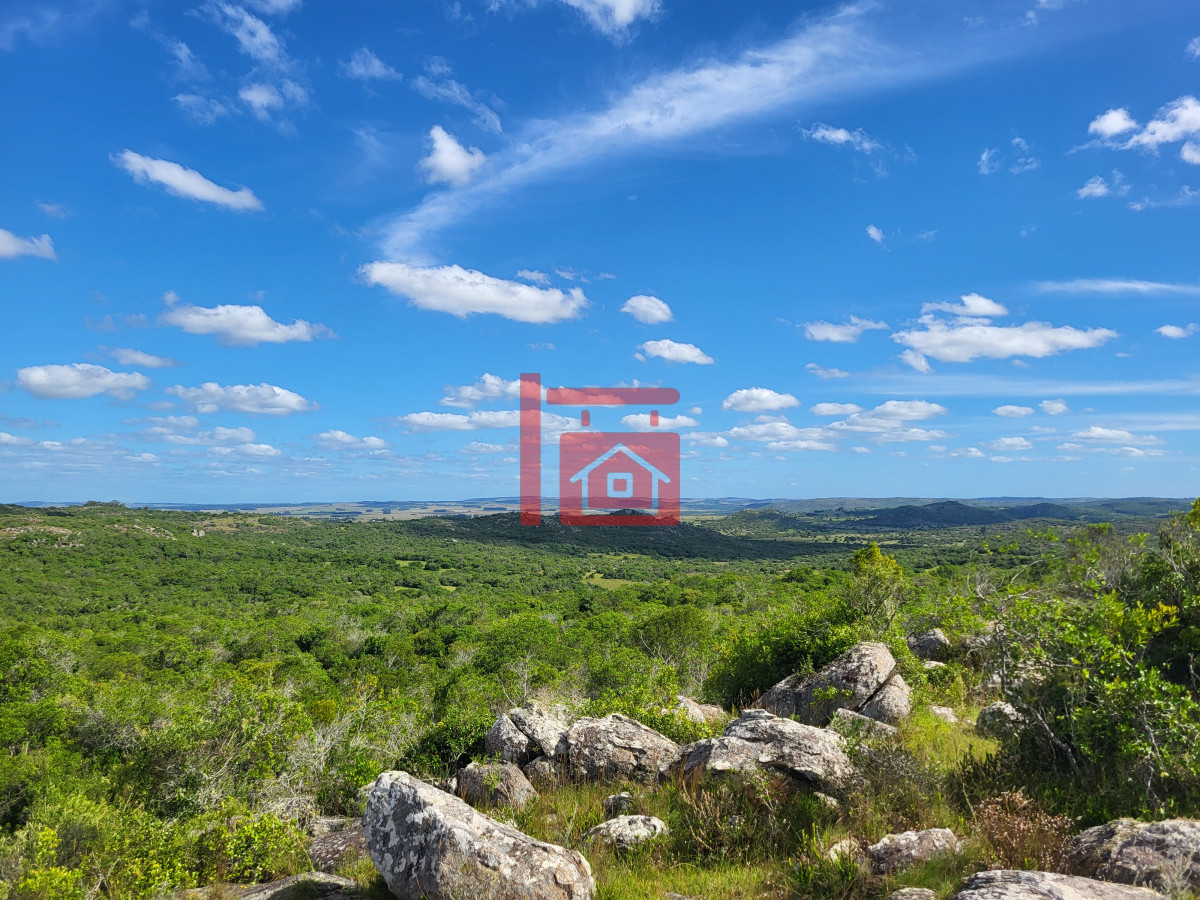 Campo Ref.542 - VENTA CAMPO 1.037 HECTAREAS SIERRAS DE LAVALLEJA