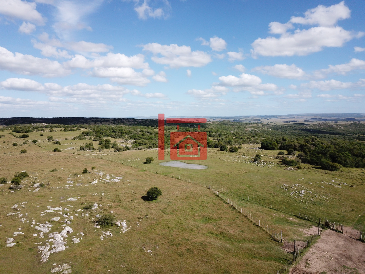 Campo Ref.542 - VENTA CAMPO 1.037 HECTAREAS SIERRAS DE LAVALLEJA