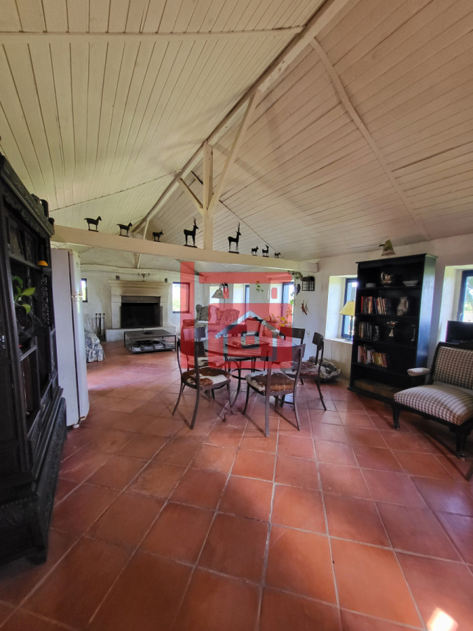 Campo Ref.542 - VENTA CAMPO 1.037 HECTAREAS SIERRAS DE LAVALLEJA