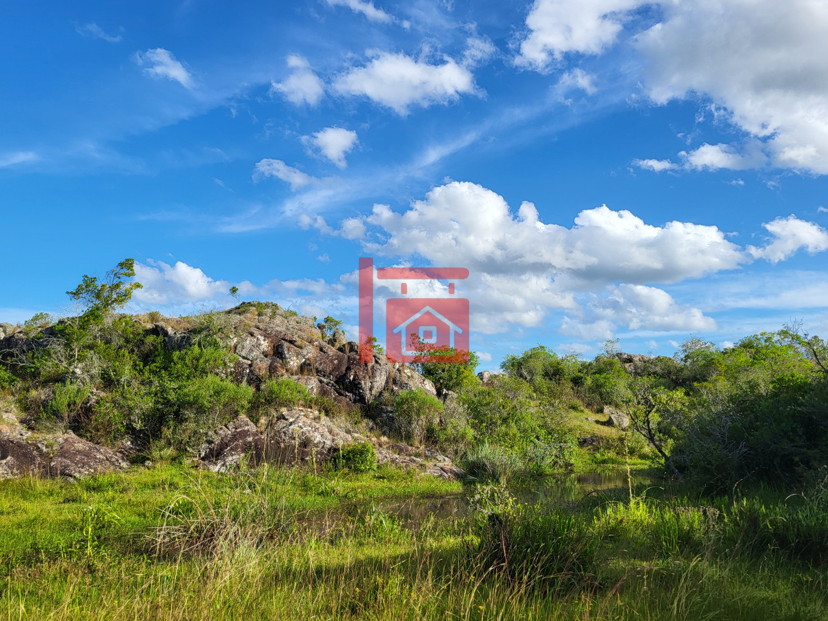 Campo Ref.542 - VENTA CAMPO 1.037 HECTAREAS SIERRAS DE LAVALLEJA