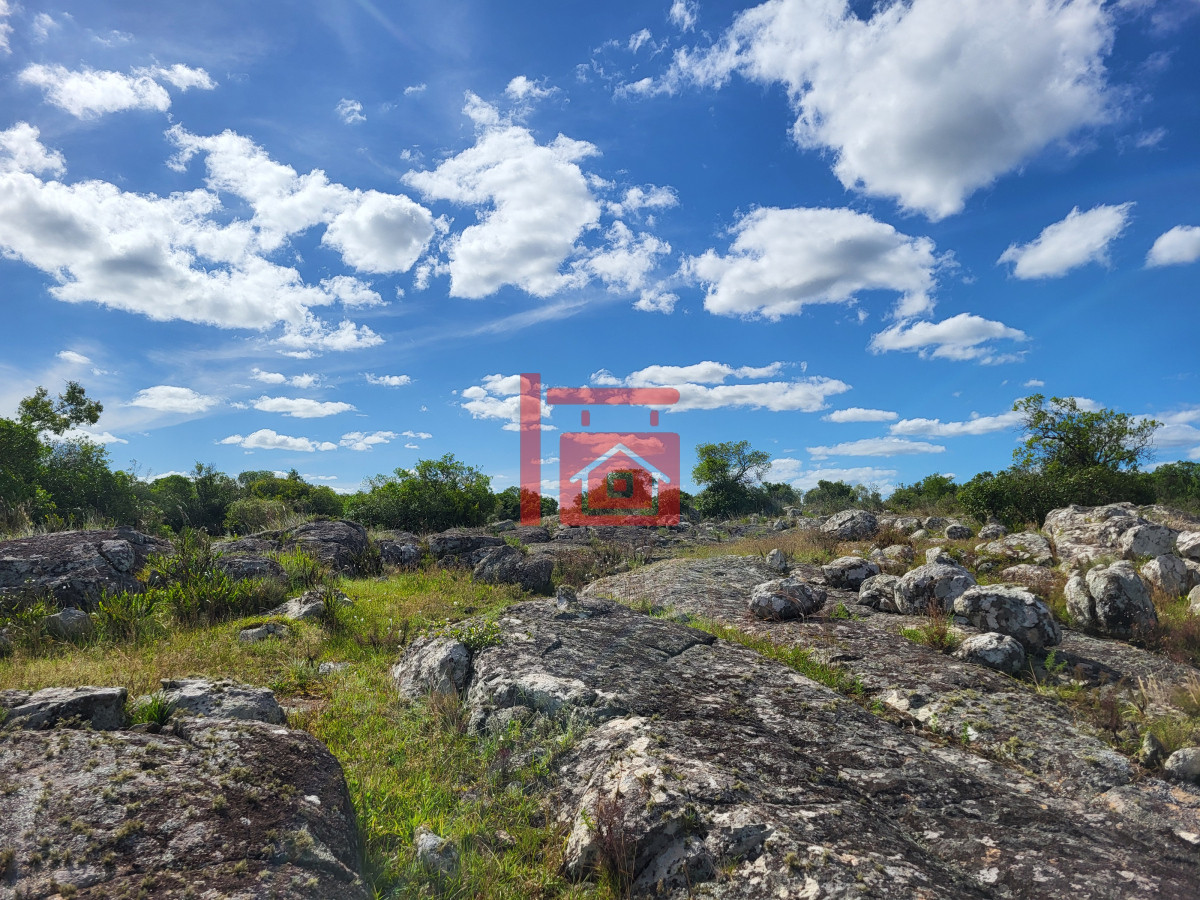 Campo Ref.542 - VENTA CAMPO 1.037 HECTAREAS SIERRAS DE LAVALLEJA