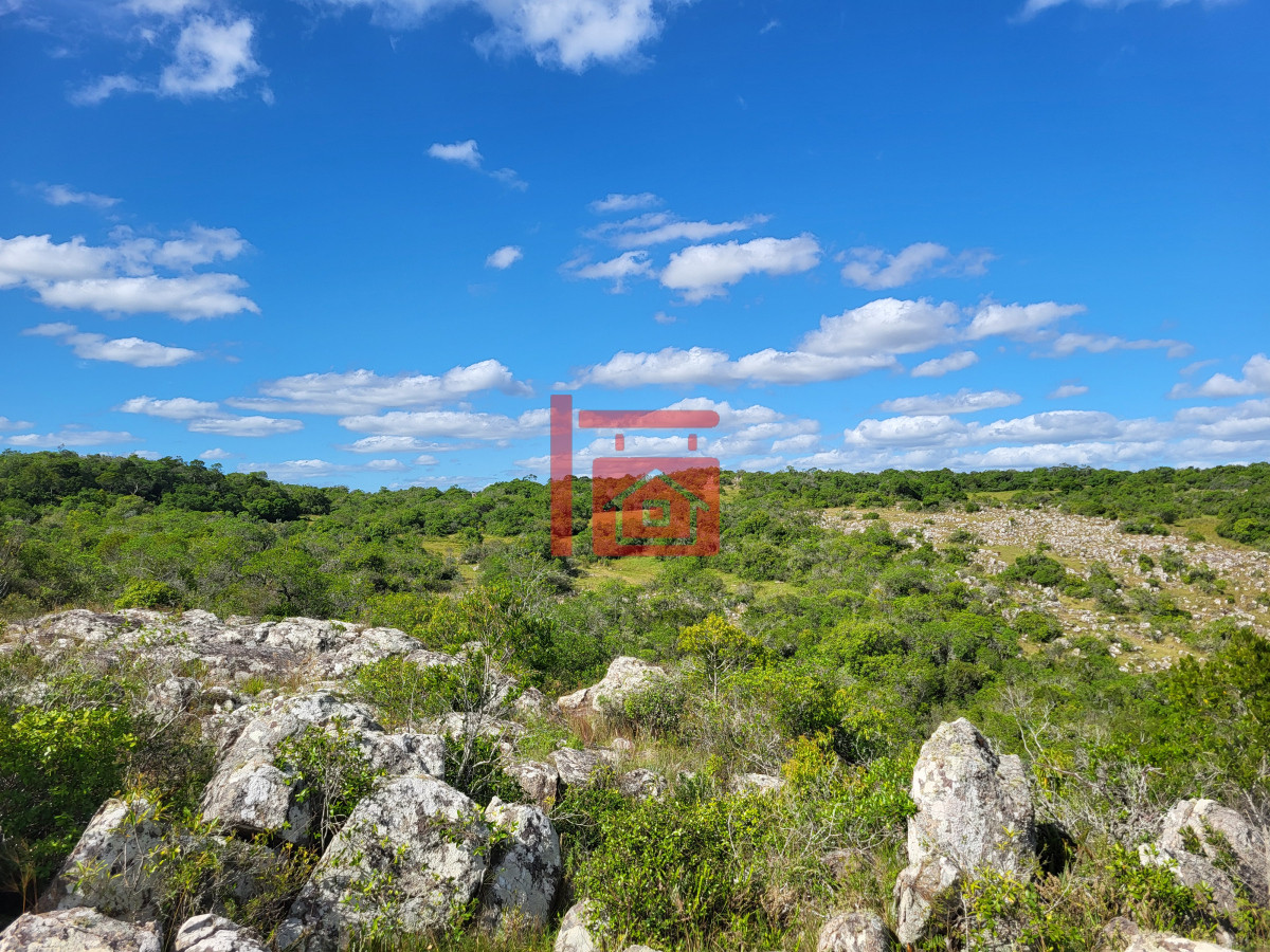 Campo Ref.542 - VENTA CAMPO 1.037 HECTAREAS SIERRAS DE LAVALLEJA