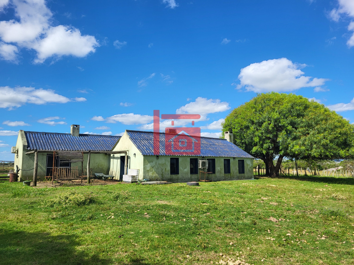Campo Ref.542 - VENTA CAMPO 1.037 HECTAREAS SIERRAS DE LAVALLEJA