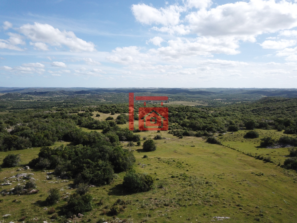 Campo Ref.542 - VENTA CAMPO 1.037 HECTAREAS SIERRAS DE LAVALLEJA