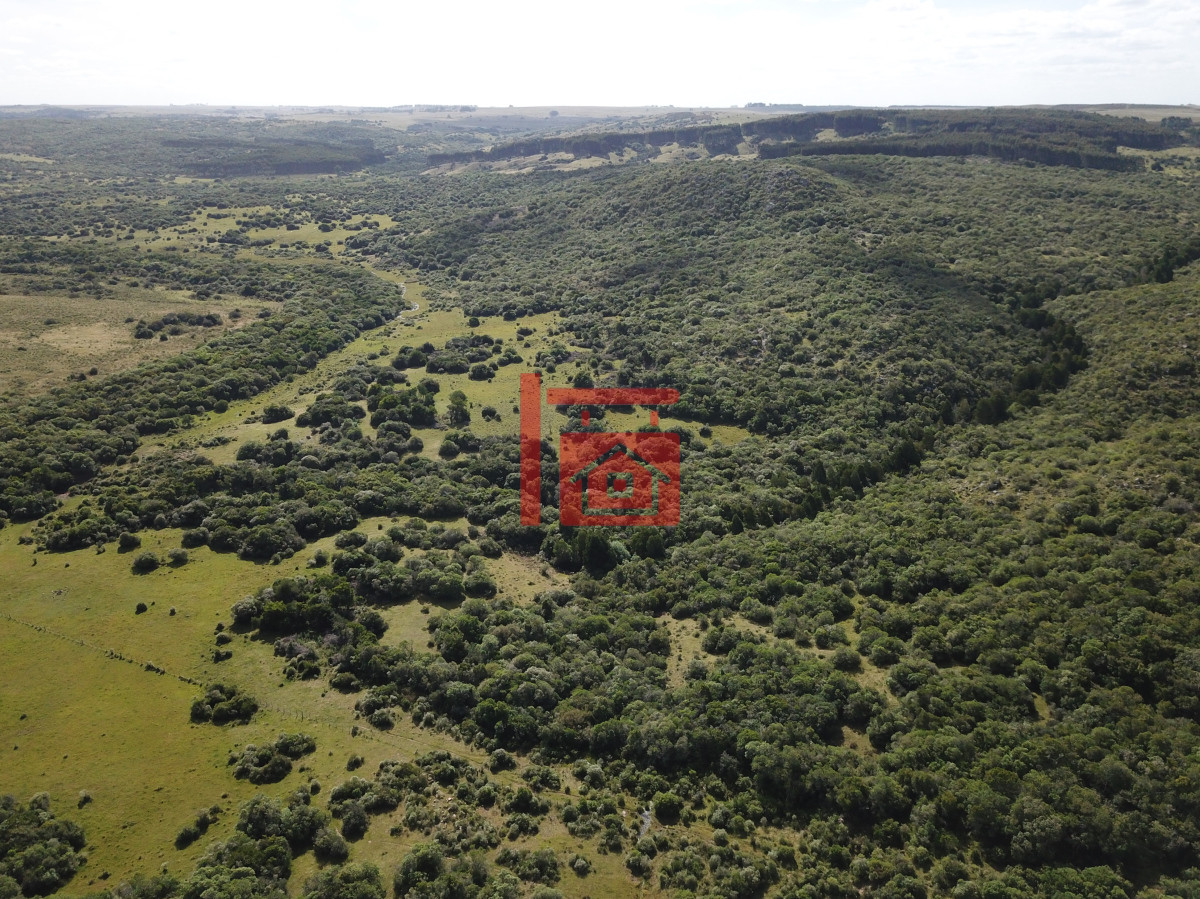 Campo Ref.542 - VENTA CAMPO 1.037 HECTAREAS SIERRAS DE LAVALLEJA