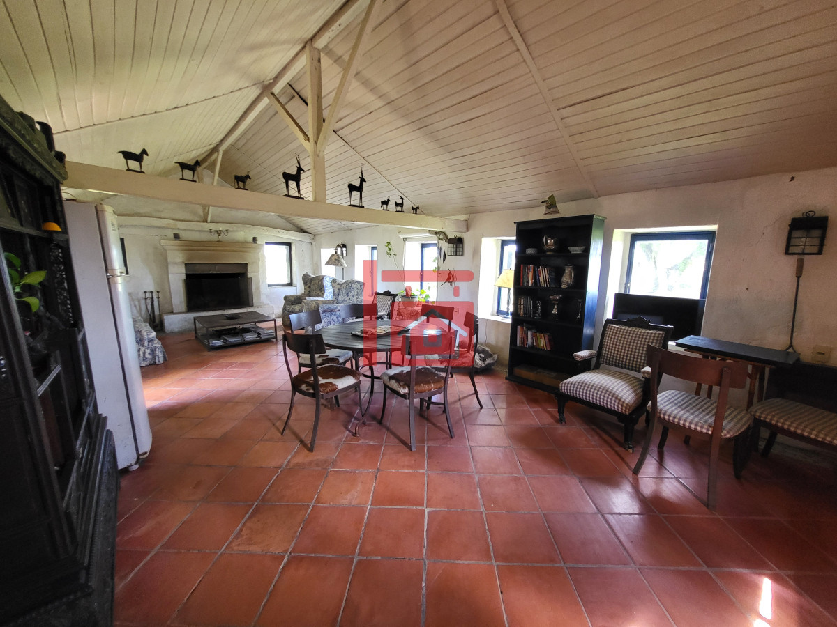 Campo Ref.542 - VENTA CAMPO 1.037 HECTAREAS SIERRAS DE LAVALLEJA