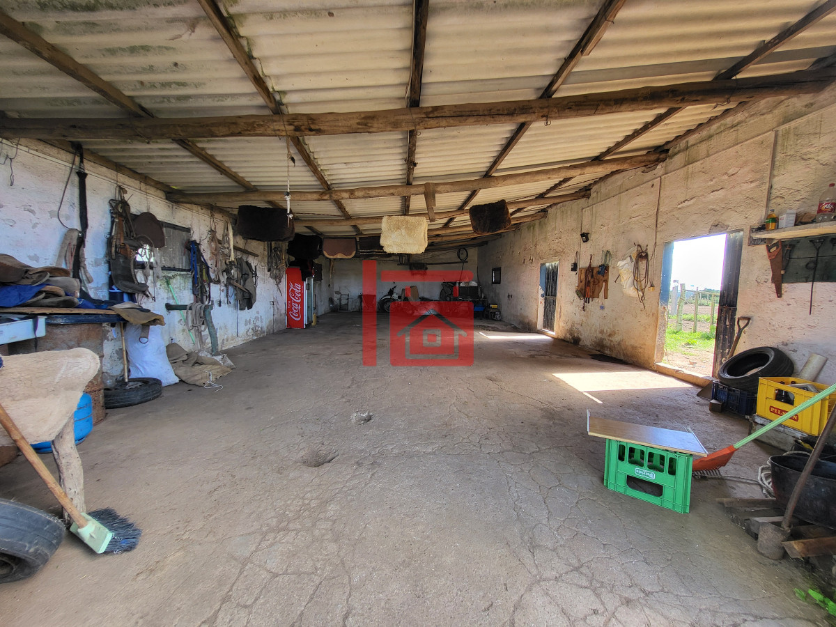 Campo Ref.542 - VENTA CAMPO 1.037 HECTAREAS SIERRAS DE LAVALLEJA