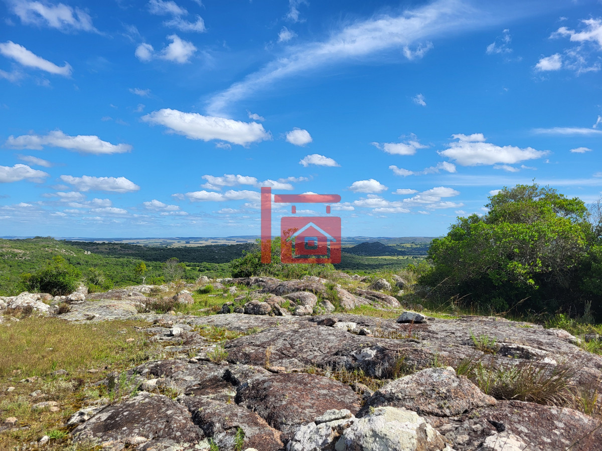 Campo Ref.542 - VENTA CAMPO 1.037 HECTAREAS SIERRAS DE LAVALLEJA