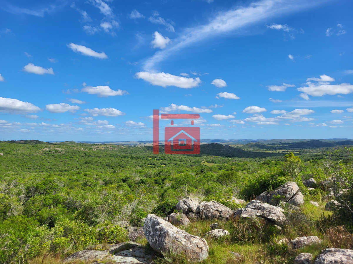 Campo Ref.542 - VENTA CAMPO 1.037 HECTAREAS SIERRAS DE LAVALLEJA
