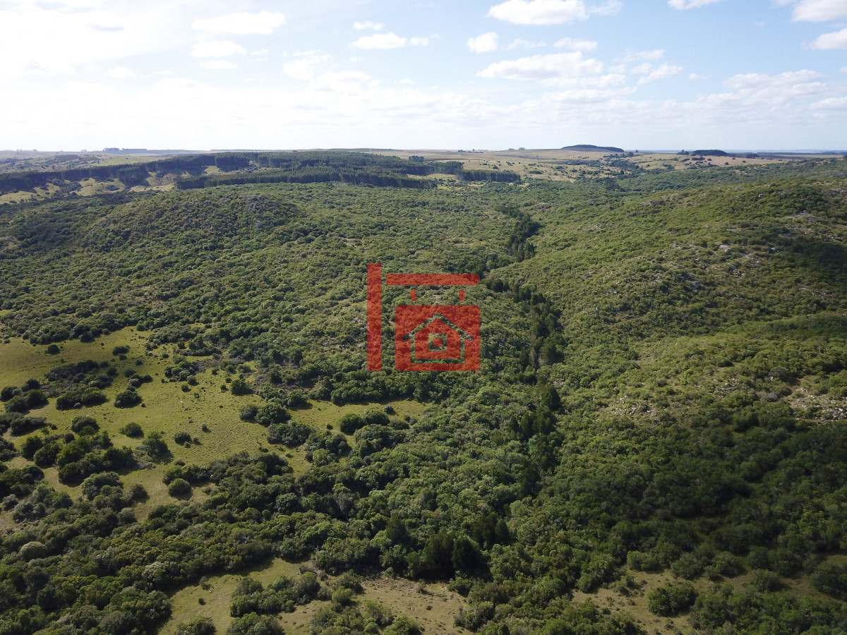 Campo Ref.542 - VENTA CAMPO 1.037 HECTAREAS SIERRAS DE LAVALLEJA