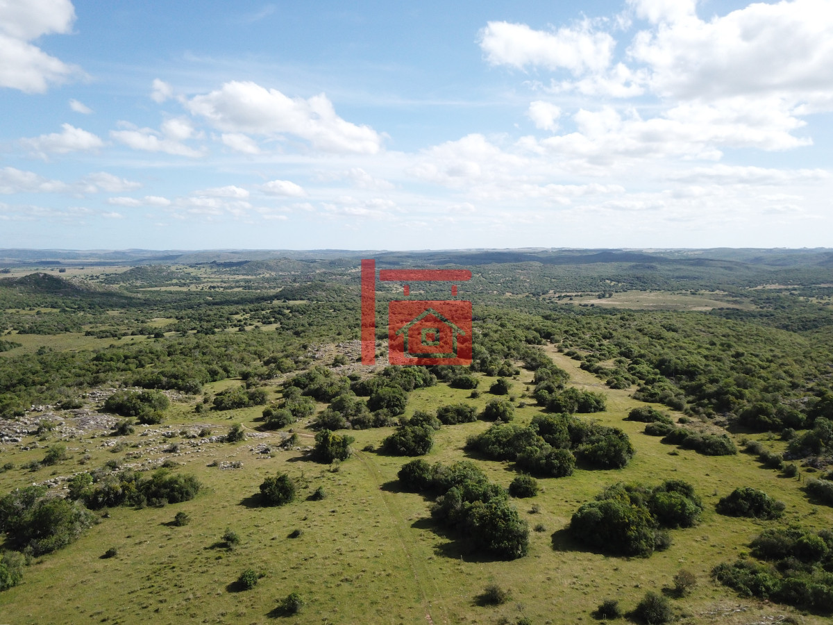 Campo Ref.542 - VENTA CAMPO 1.037 HECTAREAS SIERRAS DE LAVALLEJA