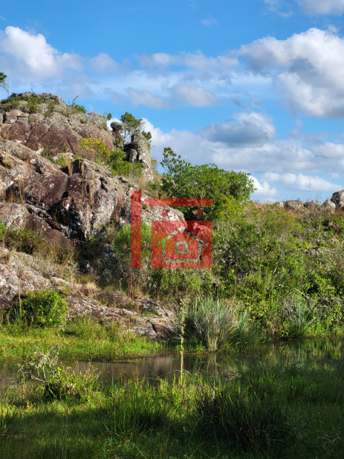 Campo Ref.542 - VENTA CAMPO 1.037 HECTAREAS SIERRAS DE LAVALLEJA