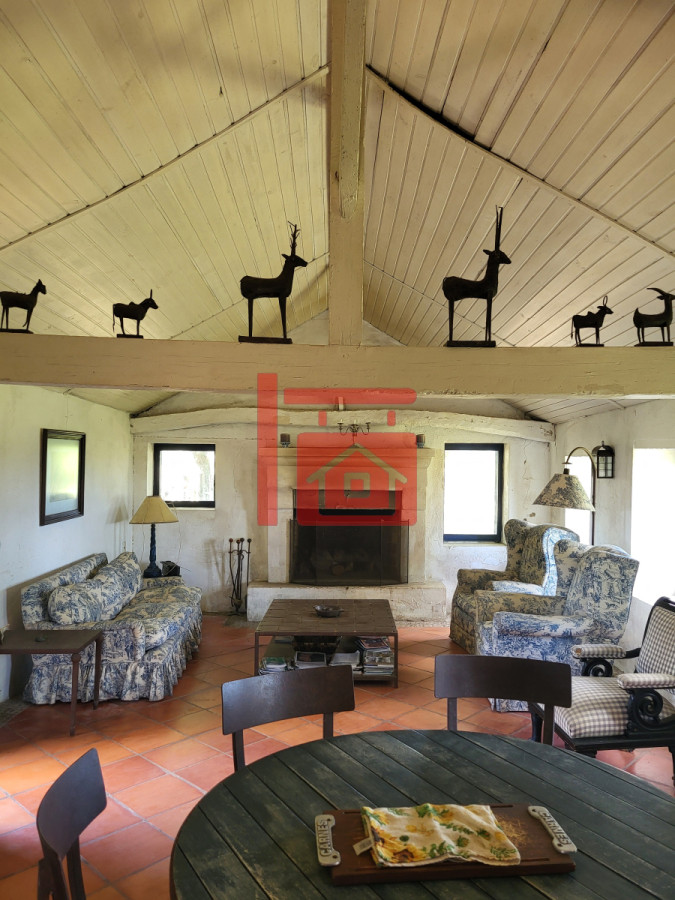 Campo Ref.542 - VENTA CAMPO 1.037 HECTAREAS SIERRAS DE LAVALLEJA