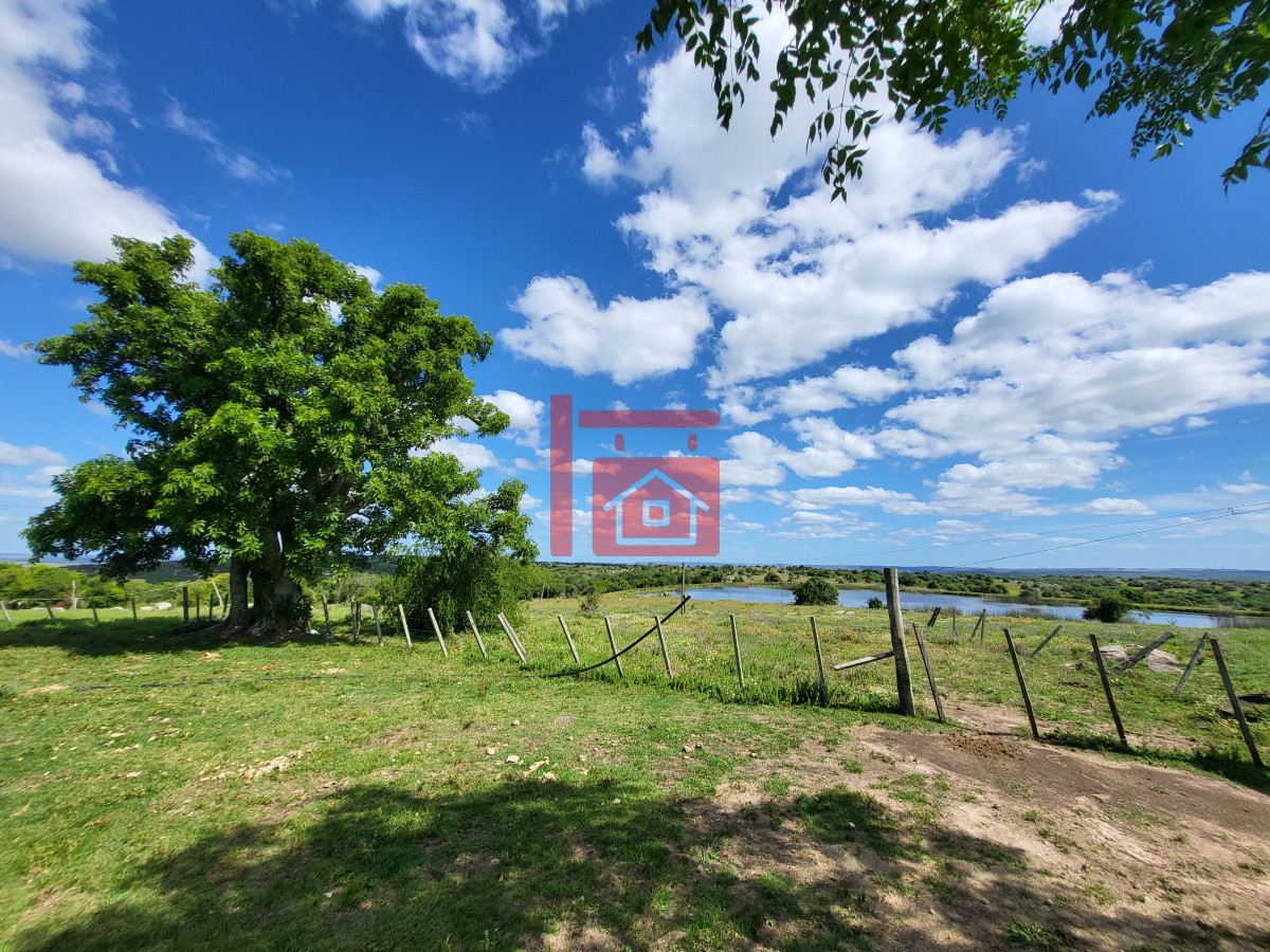 Campo Ref.542 - VENTA CAMPO 1.037 HECTAREAS SIERRAS DE LAVALLEJA