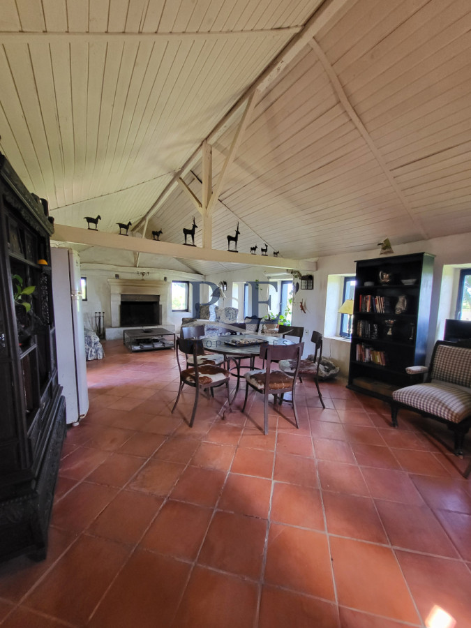 Sierras de Lavalleja | Polanco | Campo en venta | 1.033 hectáreas - Imagen 11